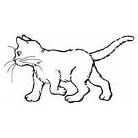Desenho de Gato caminhando para colorir