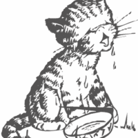 Desenho de Gato chorando para colorir