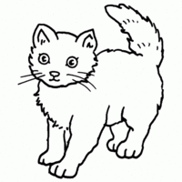 Desenho de Gato com medo para colorir