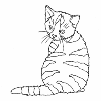 Desenho de Gato malhado para colorir