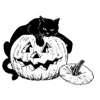 Desenho de Gato preto e abóbora para colorir