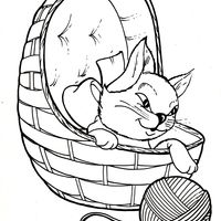 Desenho de Gato na cestinha com novelo de lã para colorir