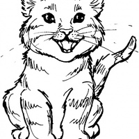 Desenho de Gato sorrindo para colorir