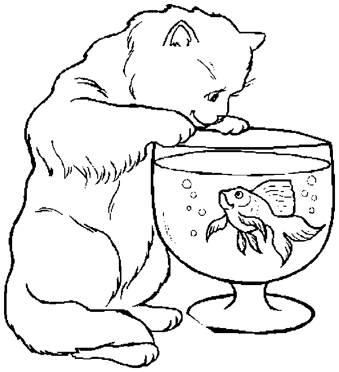 Desenho Desenho Desenhos Animados Pequeno Gato Com Aquário Com Peixes  imagem vetorial de Oleon17© 519421592