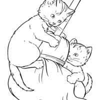 Desenho de Gatos brincando com vassoura para colorir