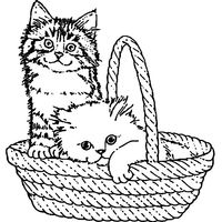 Desenho de Gatos fofos na cestinha  para colorir