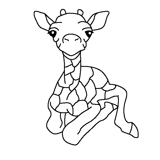 Girafa bebe depois de nascer
