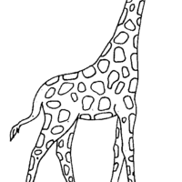Desenho de Girafa pescoçuda para colorir