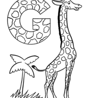 Desenho de Letra g de girafa para colorir