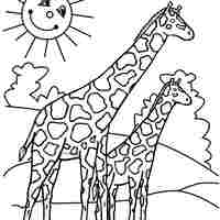 Desenho de Girafas na savana africana para colorir