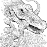 Desenho de Jacaré comendo cobra para colorir