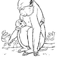 Desenho de Macaca e filhote para colorir