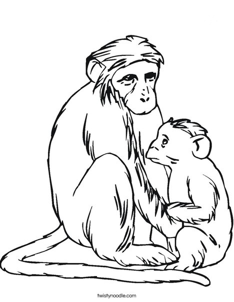 Macaco mimando filhote