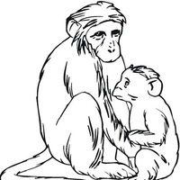 Desenho de Macaco mimando filhote para colorir