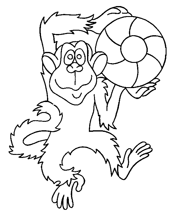 Macaco jogando bola