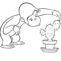 Desenho de Macaco e cactus para colorir