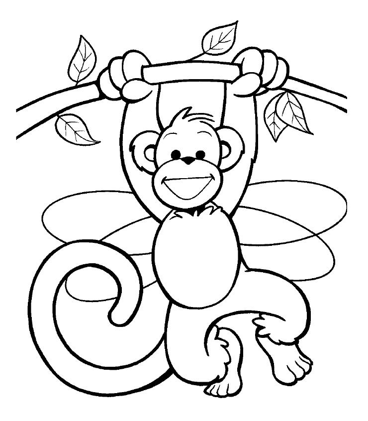 Desenho de Macaco pendurado em um galho para Colorir - Colorir.com