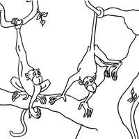 Desenho de Macacos brincando na árvore para colorir