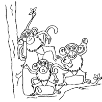 Desenho de Macaquinhos divertidos para colorir