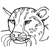Desenho de Cara de leoa para colorir