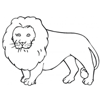 Desenho de Leão grande para colorir