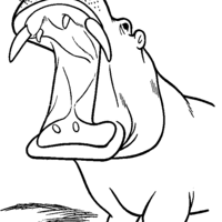Desenho de Hipopótamo com a boca aberta para colorir
