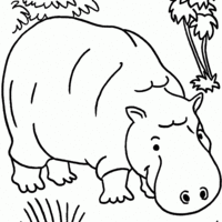 Desenho de Hipopótamo bebendo água para colorir