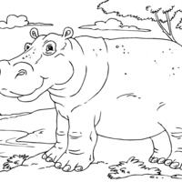 Desenho de Hipopótamo na savana para colorir