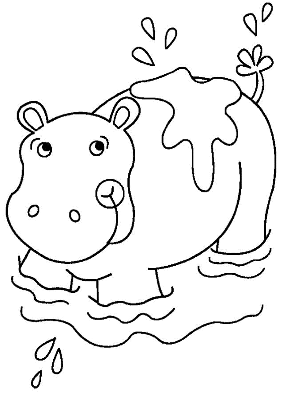 Hipopotamo sujo