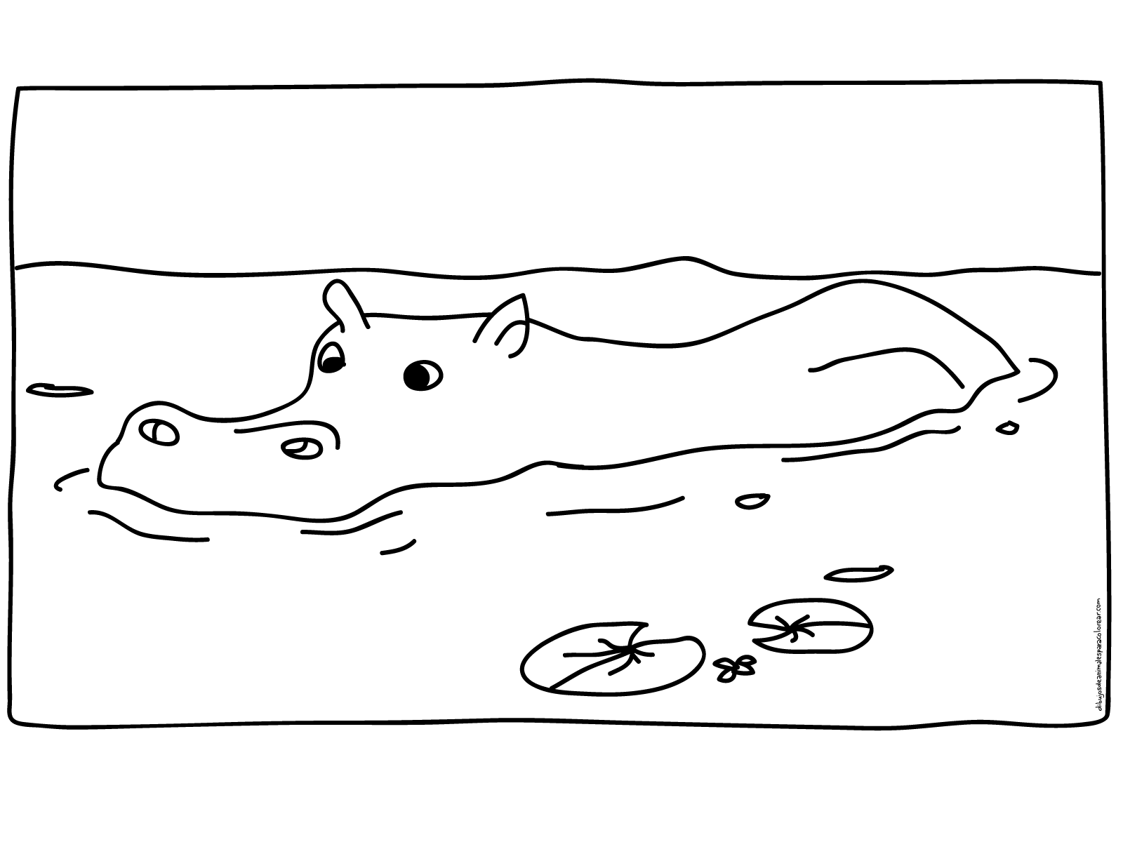Hipopotamo tomando banho no lago