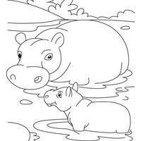 Desenho de Mamãe hipopótamo e seu filhote para colorir