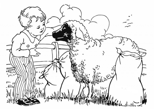 Menino e ovelha