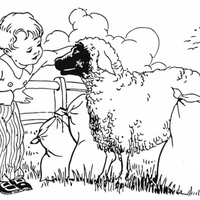 Desenho de Menino e ovelha para colorir