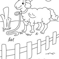 Desenho de Ovelha com coleira para colorir