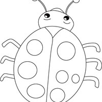 Desenho de Joaninha inseto para colorir