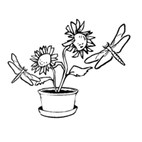 Desenho de Libélula e flores para colorir
