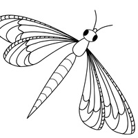 Desenho de Libélula inseto para colorir