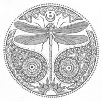 Desenho de Mandala de libélula para colorir