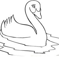 Desenho de Patinho Feio se transformando em cisne para colorir