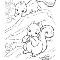 Desenho de Esquilinhos para colorir