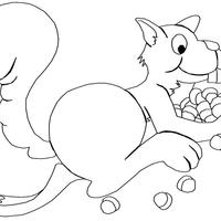 Desenho de Esquilo carregando nozes para colorir