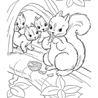 Desenho de Esquilos bebês para colorir