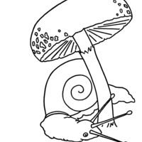 Desenho de Caracol na sombra do cogumelo para colorir