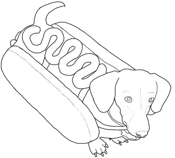 Desenhos para Colorir: Desenho de cachorro salsicha, dog, cachorro para  colorir.