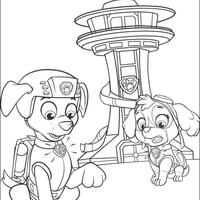 Desenho de Zuma e Skye buscando pistas para colorir