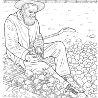 Desenho de Homem colhendo batatas para colorir