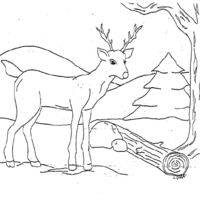 Desenho de Veado na floresta para colorir