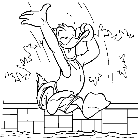 Donald pulando na piscina