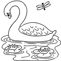 Desenho de Cisne no lago para colorir
