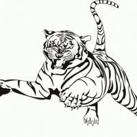 Desenho de Tigre atacando para colorir